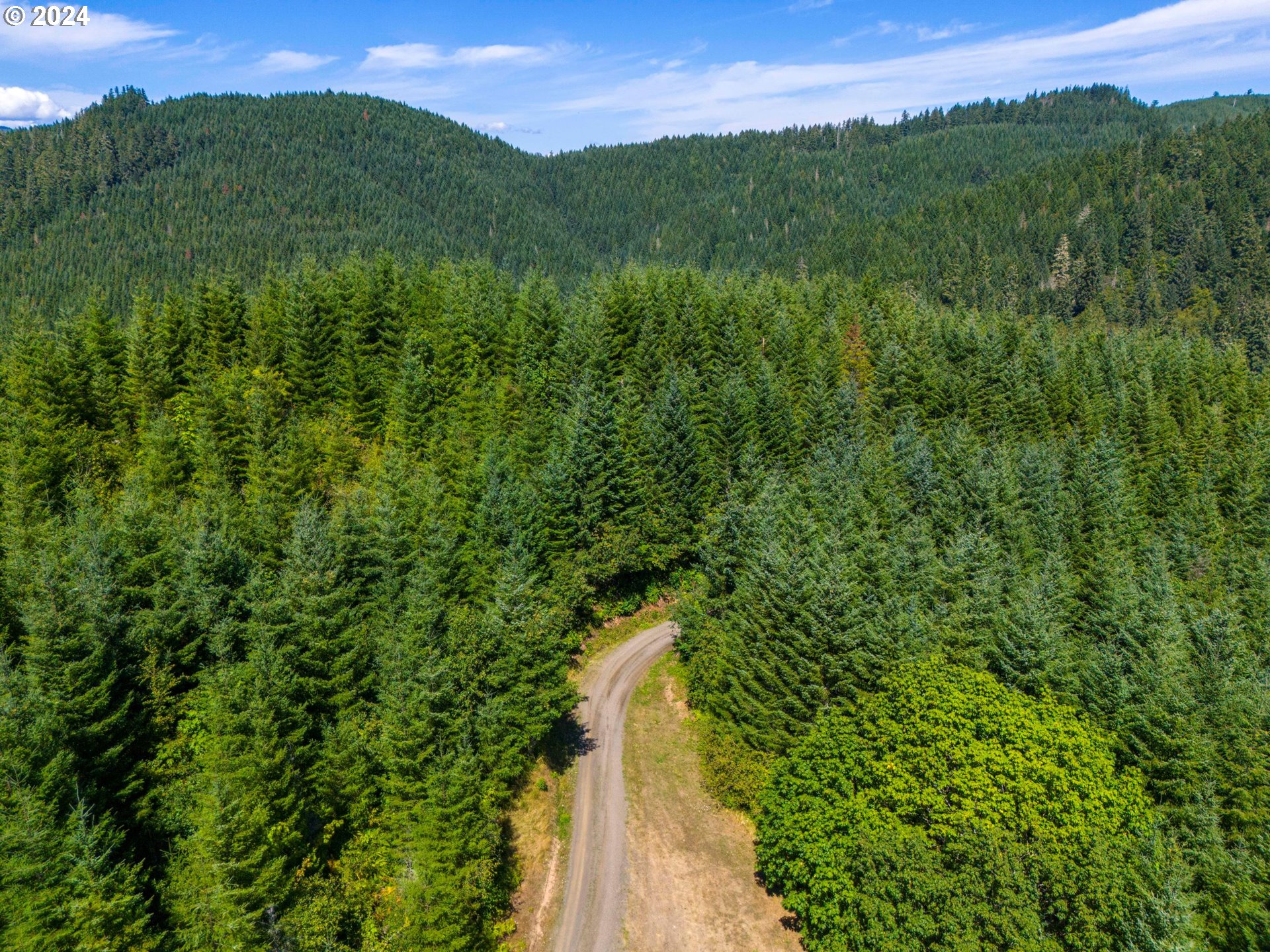 High Pass Road, Unit TL3400 Junction City, OR 97448 - Photo 21 of 48 Gallery Image 21