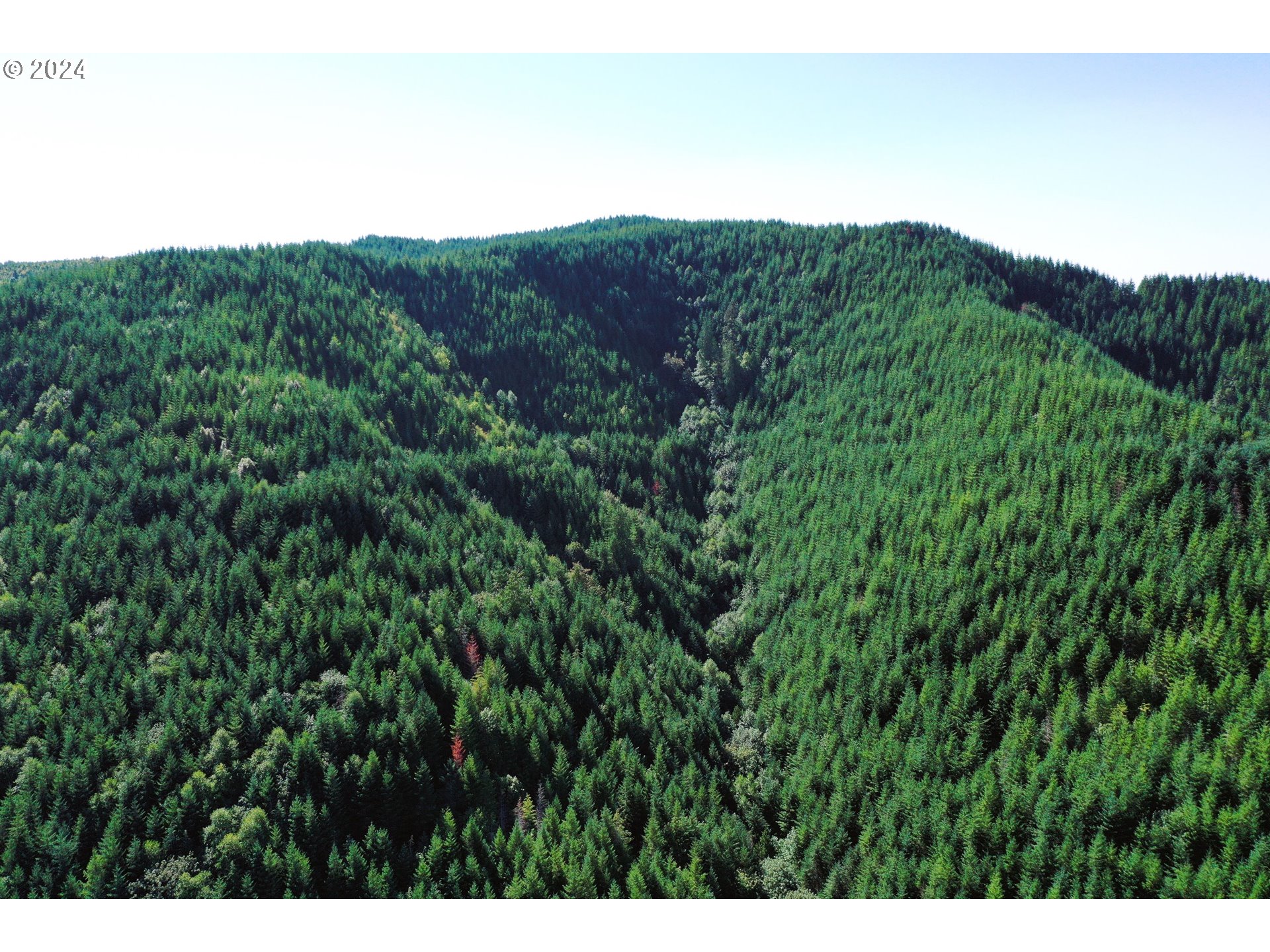 High Pass Road, Unit TL3400 Junction City, OR 97448 - Photo 31 of 48 Gallery Image 31