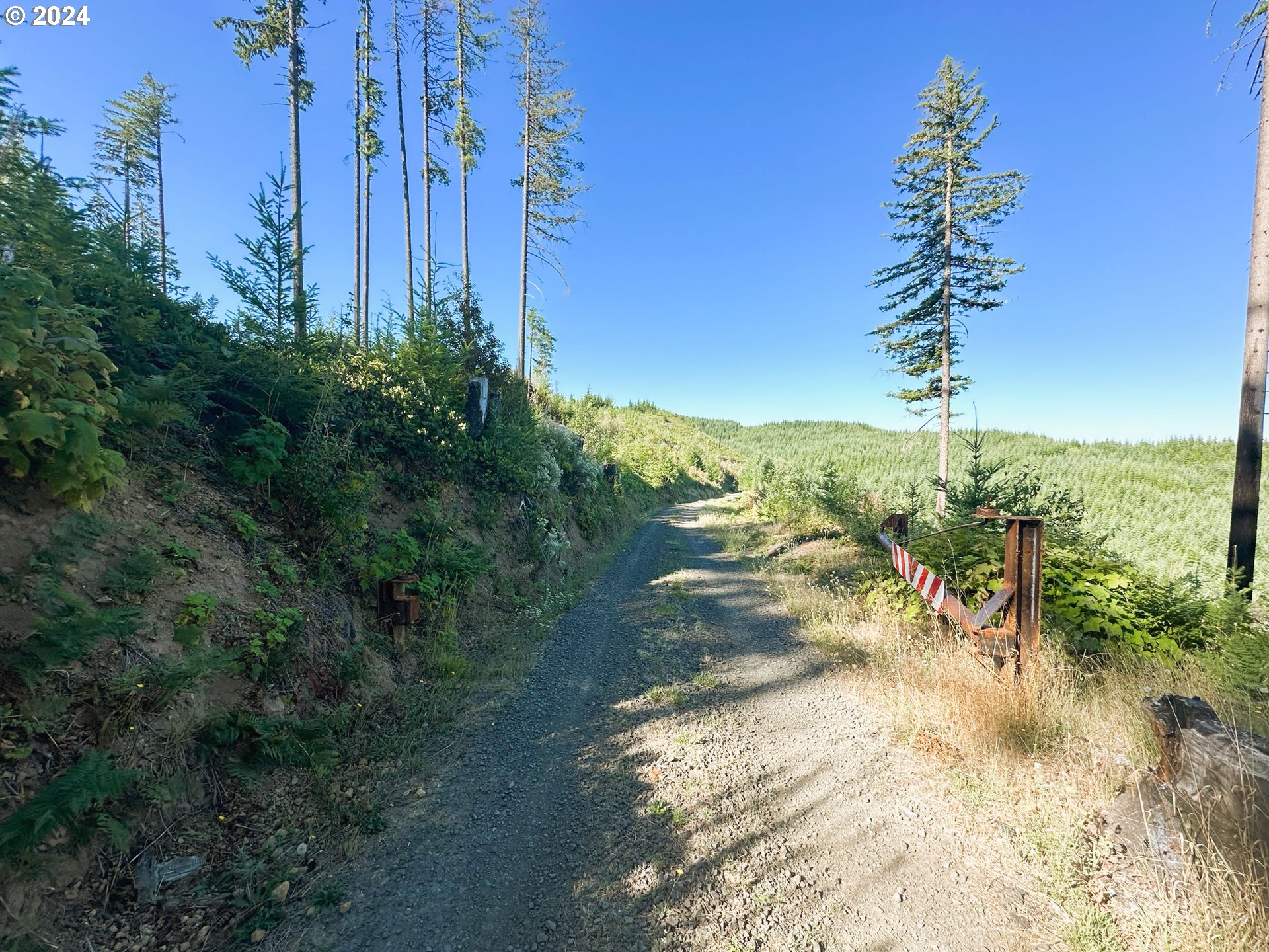 High Pass Road, Unit TL3400 Junction City, OR 97448 - Photo 33 of 48 Gallery Image 33