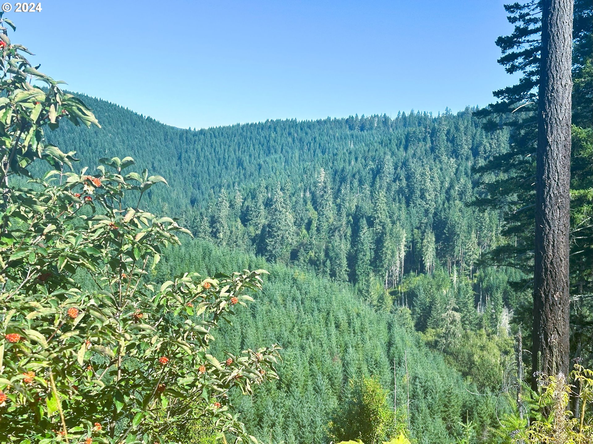High Pass Road, Unit TL3400 Junction City, OR 97448 - Photo 34 of 48 Gallery Image 34