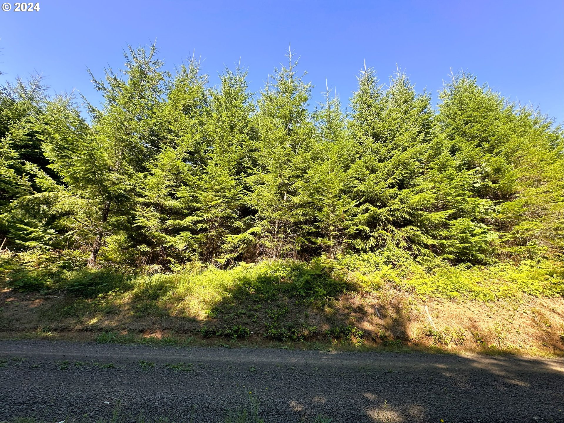 High Pass Road, Unit TL3400 Junction City, OR 97448 - Photo 36 of 48 Gallery Image 36