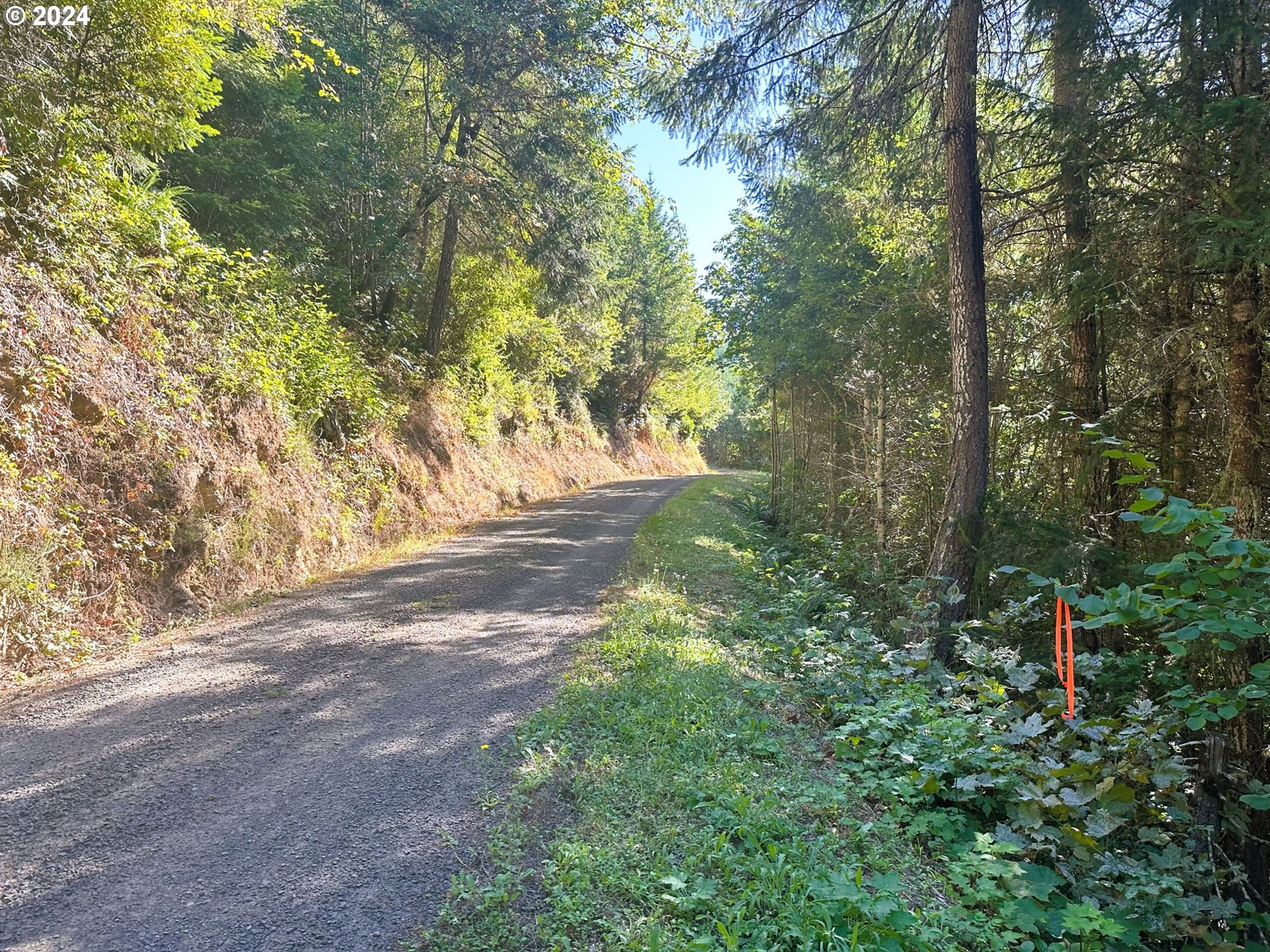 High Pass Road, Unit TL3400 Junction City, OR 97448 - Photo 39 of 48 Gallery Image 39