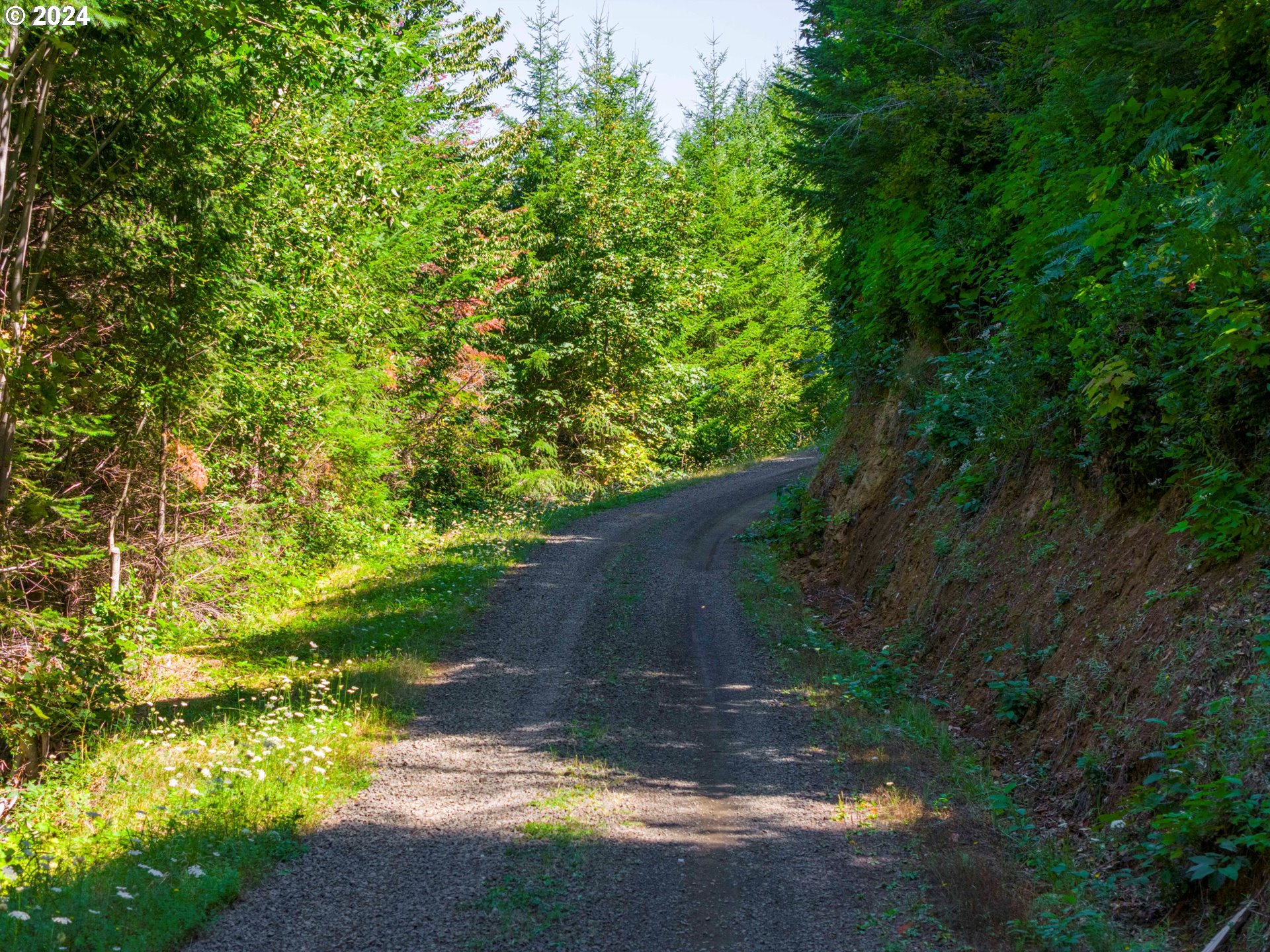 High Pass Road, Unit TL3400 Junction City, OR 97448 - Photo 40 of 48 Gallery Image 40