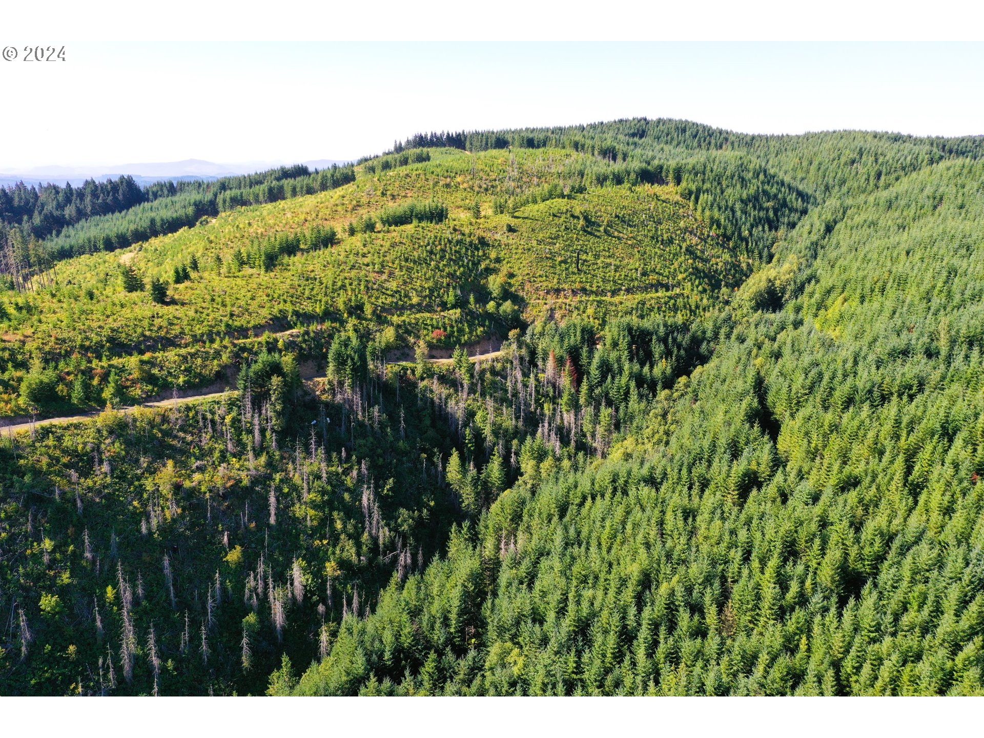 High Pass Road, Unit TL3400 Junction City, OR 97448 - Photo 4 of 48 Gallery Image 4