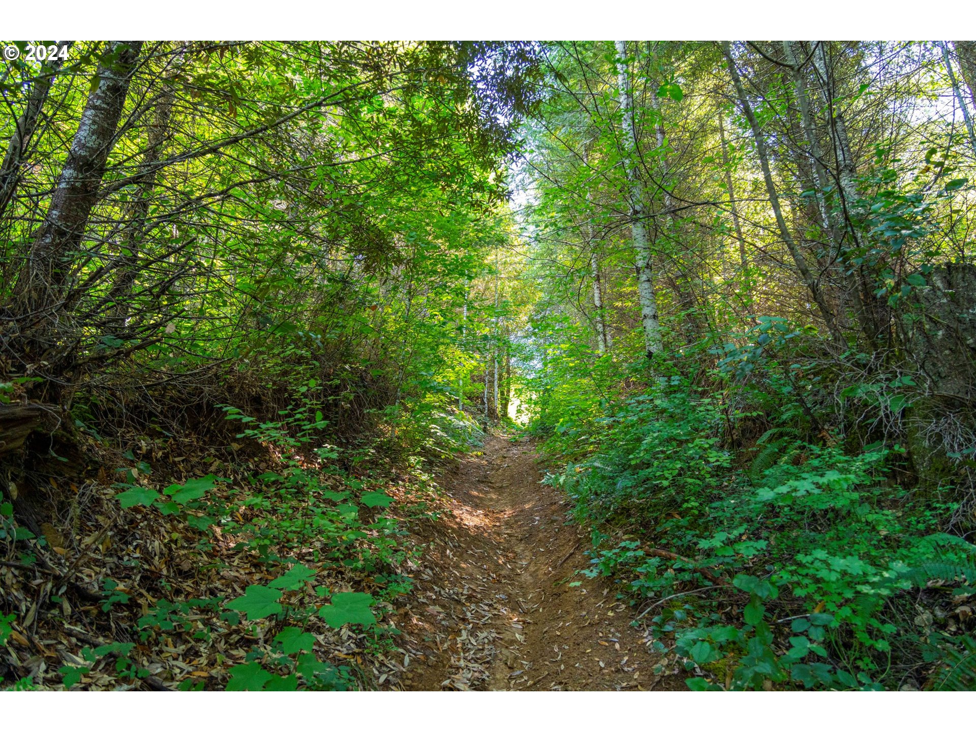 High Pass Road, Unit TL3400 Junction City, OR 97448 - Photo 41 of 48 Gallery Image 41