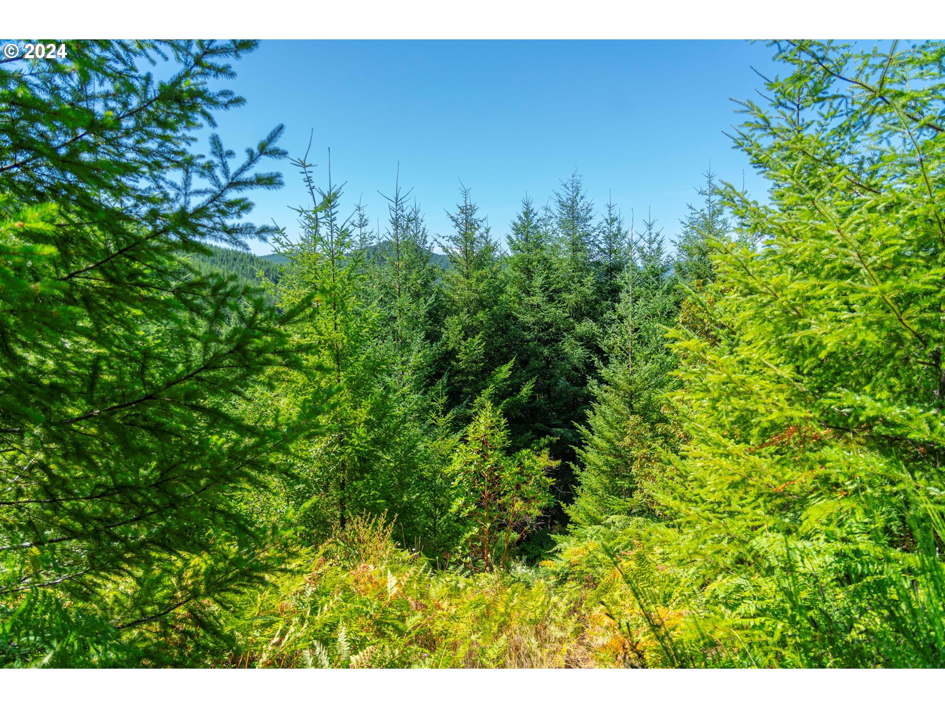 High Pass Road, Unit TL3400 Junction City, OR 97448 - Photo 44 of 48 Gallery Image 44