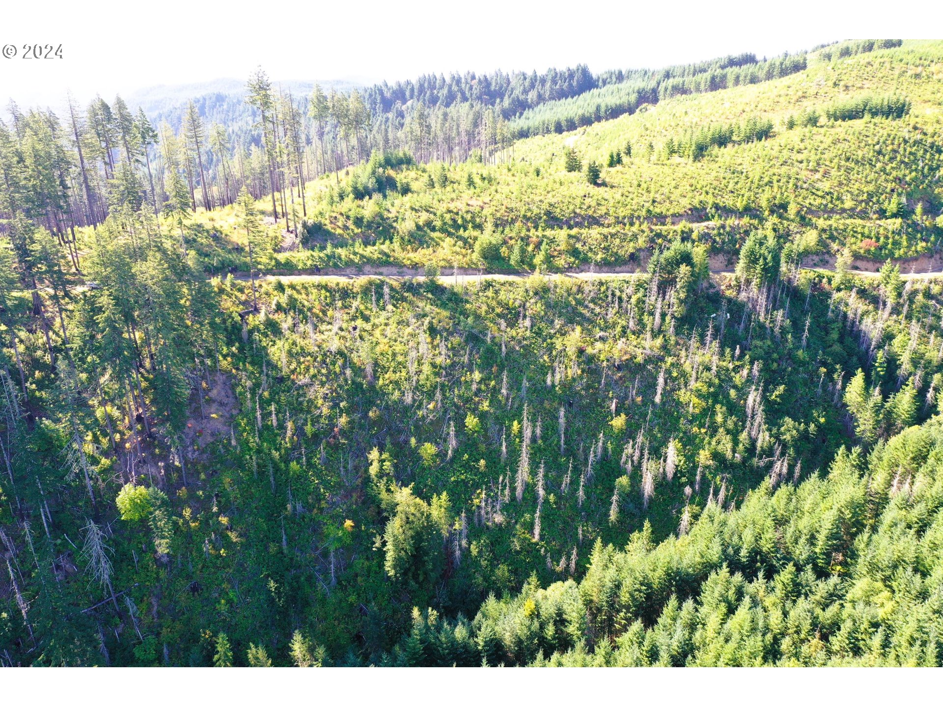 High Pass Road, Unit TL3400 Junction City, OR 97448 - Photo 5 of 48 Gallery Image 5