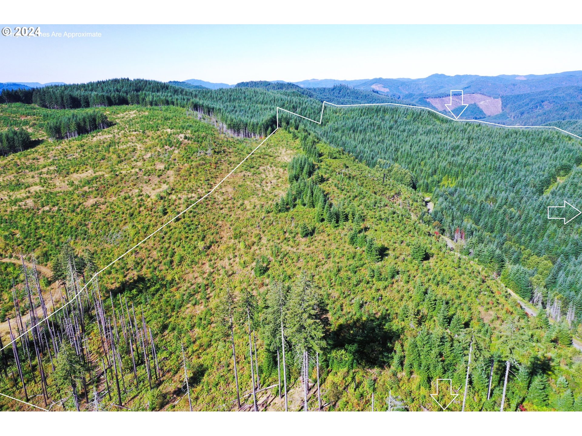 High Pass Road, Unit TL3400 Junction City, OR 97448 - Photo 6 of 48 Gallery Image 6