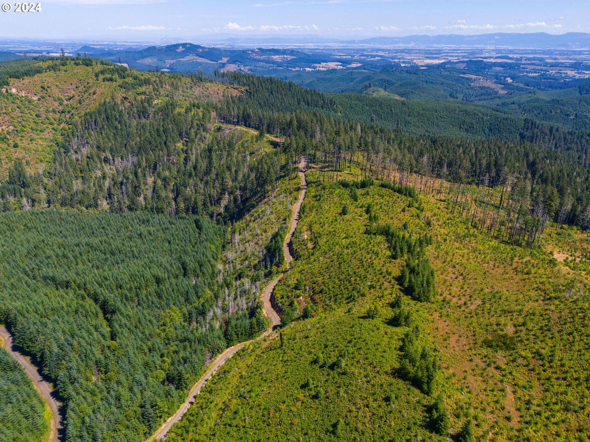 High Pass Road, Unit TL3400 Junction City, OR 97448 - Photo 8 of 48 Gallery Image 8