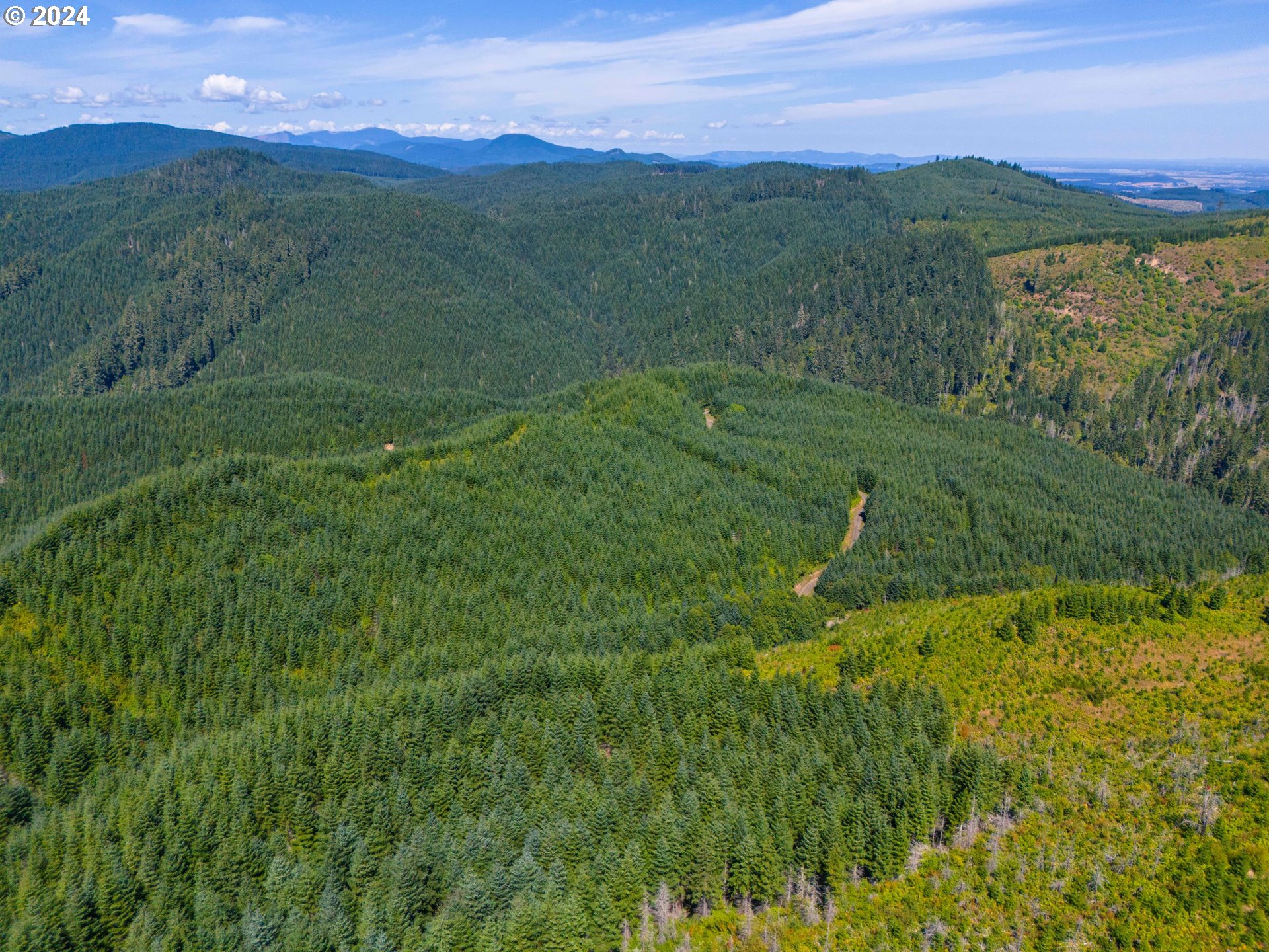 High Pass Road, Unit TL3400 Junction City, OR 97448 - Photo 9 of 48 Gallery Image 9