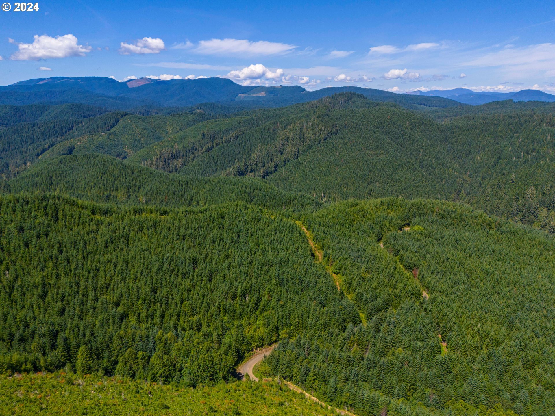 High Pass Road, Unit TL3400 Junction City, OR 97448 - Photo 10 of 48 Gallery Image 10
