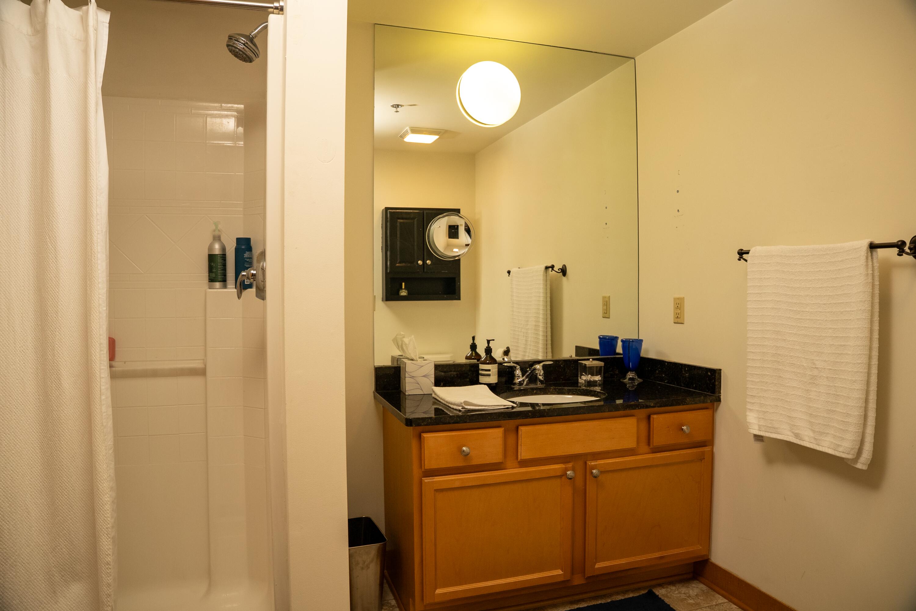 720 South Marquette Street, Unit 417 Racine, WI 53403 - Photo 9 of 11 Main Bath