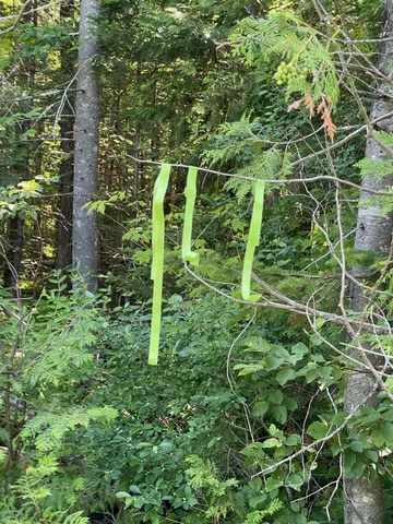 $99,900 | Lot 15-15 Brann Road, Levant, ME 04456