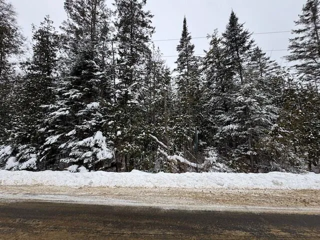 $99,900 | Lot 15-15 Brann Road, Levant, ME 04456