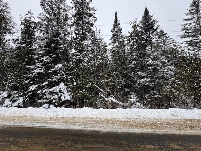 Lot 15-15 Brann Road Levant, ME 04456 - Photo 5 of 5 10 Acres on Town Maintained Road