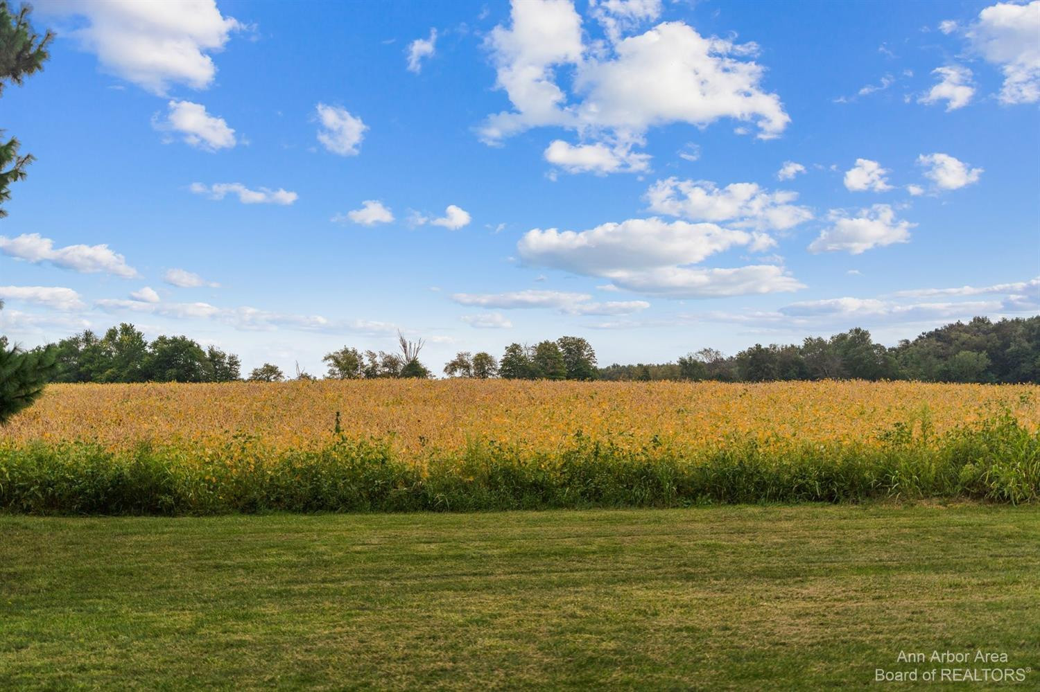 2333 Staib Road Tecumseh, MI 49286 - Photo 70 of 86 Photo 70