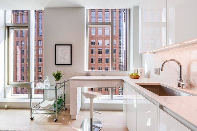 a kitchen with a sink and a potted plant next to a window