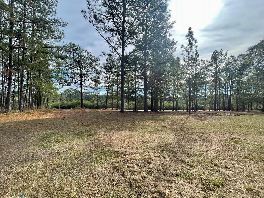 50 North Patten Road Tylertown, MS 39667 - Photo 5 of 27 Photo 5