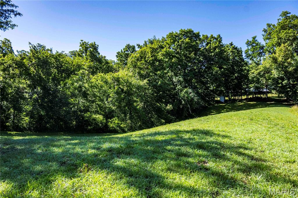 0 County 455 Road New Franklin, MO 65274 - Photo 20 of 67