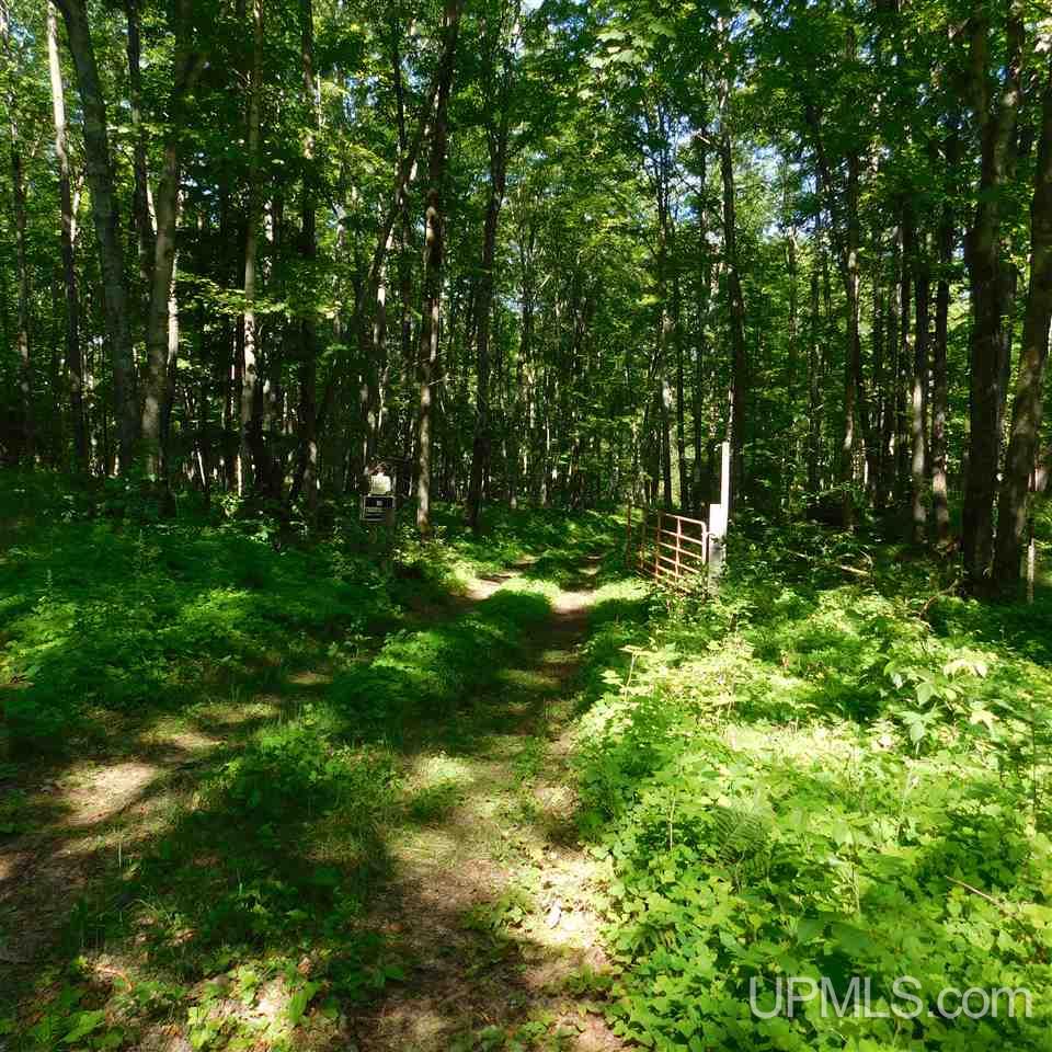 Tbd Off Camp 5 Road Crystal Falls, MI 49920 - Photo 25 of 31 Gallery Image 25