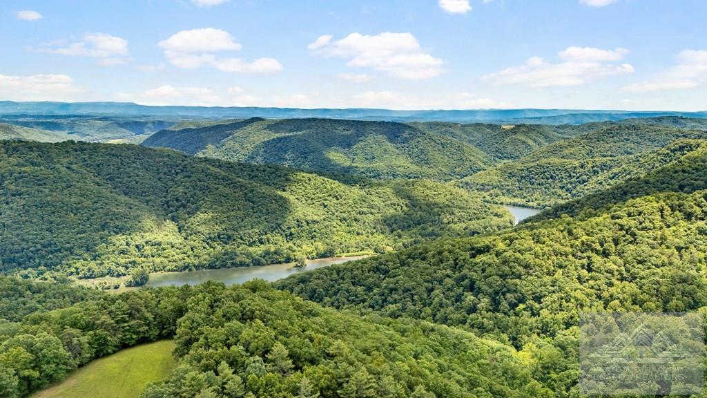1972 River Ridge Road Pipestem, WV 25979 - Photo 54 of 65 Gallery Image 54