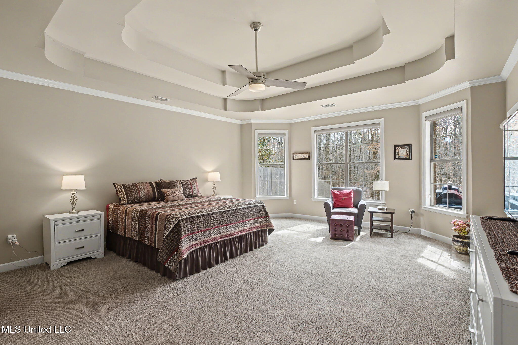 14185 Chapel Ridge Trail Olive Branch, MS 38654 - Photo 3 of 42 Primary Suite