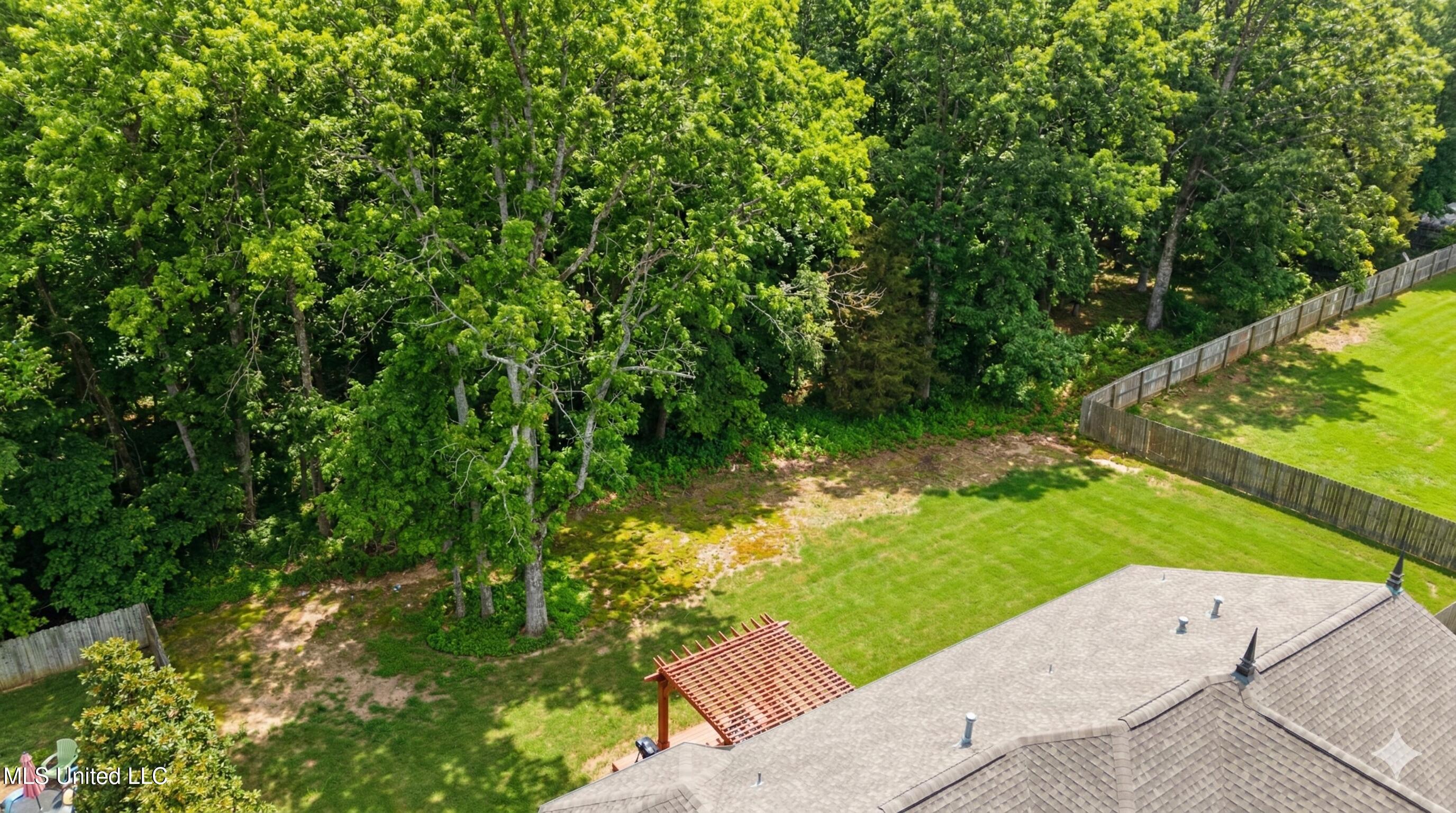 14185 Chapel Ridge Trail Olive Branch, MS 38654 - Photo 5 of 42 Back Yard View