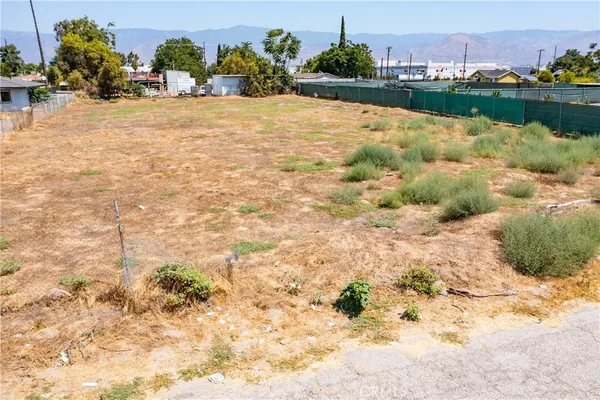 view of backyard