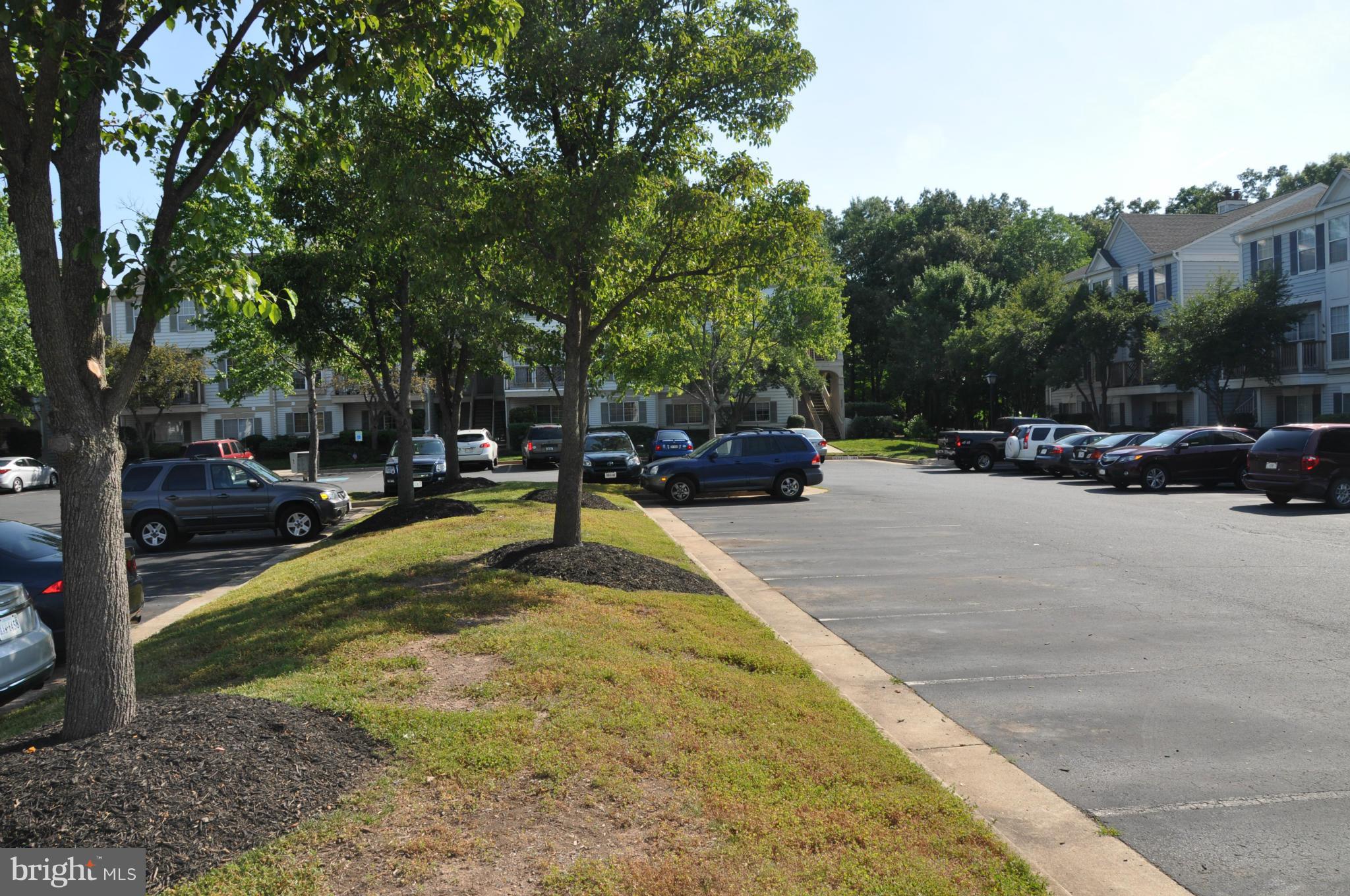 8218 Winstead Place, Unit 203 Manassas, VA 20109 - Photo 2 of 27 Community