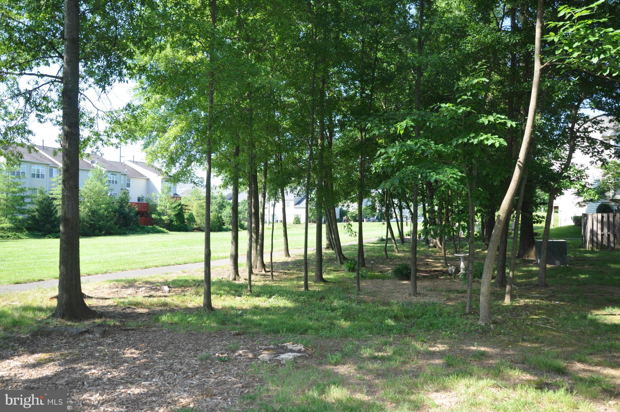 8218 Winstead Place, Unit 203 Manassas, VA 20109 - Photo 5 of 27 Exterior (Rear)