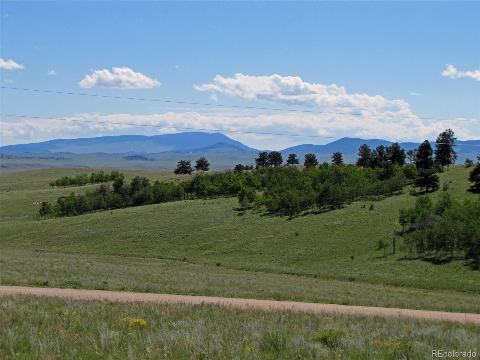 10004 Ranch Road Hartsel, CO 80449 - Photo 1 of 12 Gallery Image 1