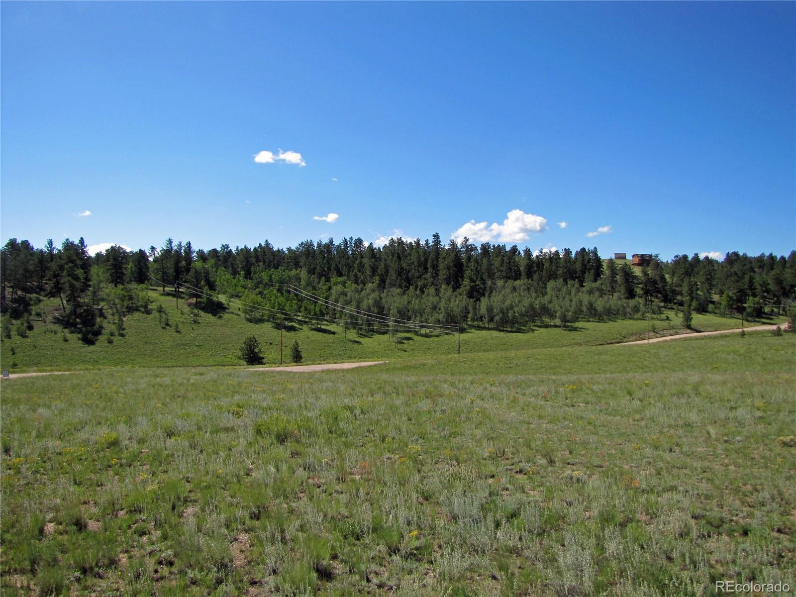 10004 Ranch Road Hartsel, CO 80449 - Photo 4 of 12 Gallery Image 4