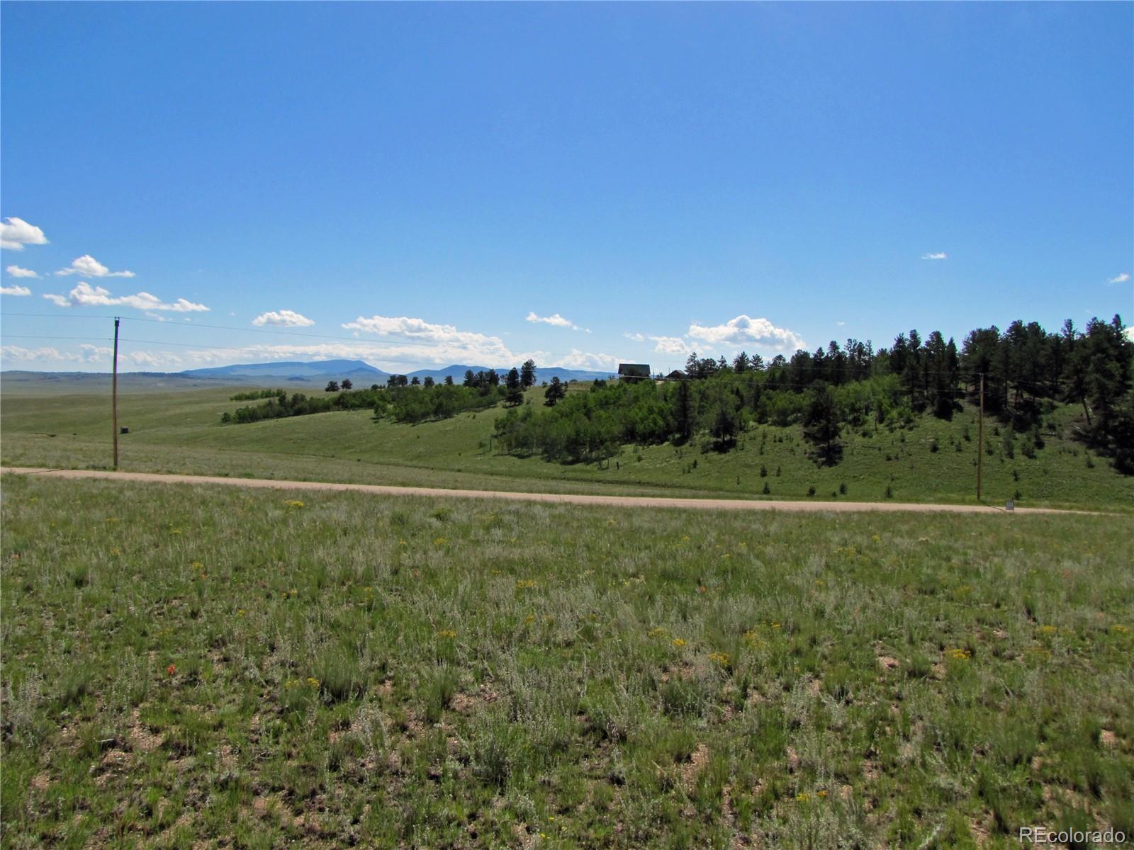 10004 Ranch Road Hartsel, CO 80449 - Photo 5 of 12 Gallery Image 5