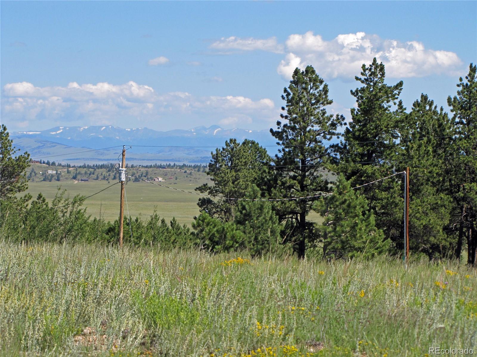 10004 Ranch Road Hartsel, CO 80449 - Photo 8 of 12 Gallery Image 8