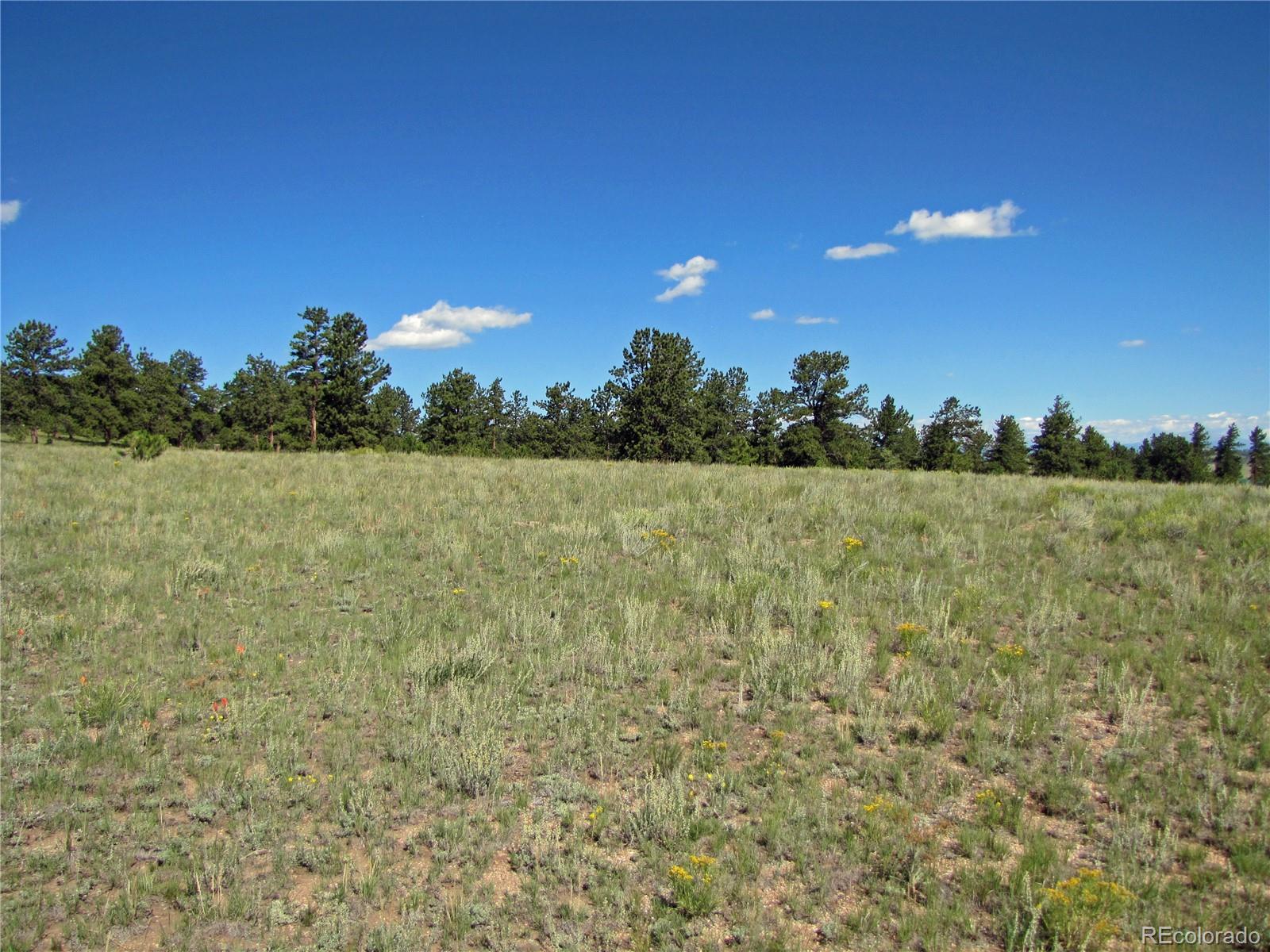 10004 Ranch Road Hartsel, CO 80449 - Photo 9 of 12 Gallery Image 9