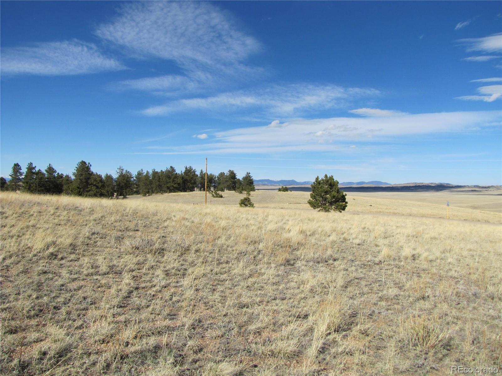 10004 Ranch Road Hartsel, CO 80449 - Photo 10 of 12 Gallery Image 10