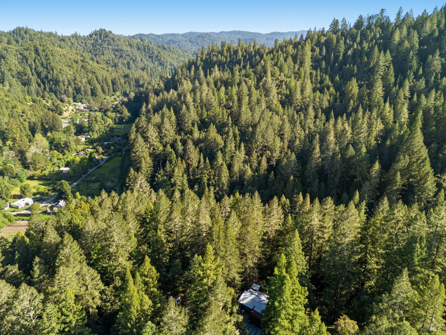 16798 Armstrong Woods Road Guerneville, CA 95446 - Photo 70 of 71 a view of a bunch of trees and bushes