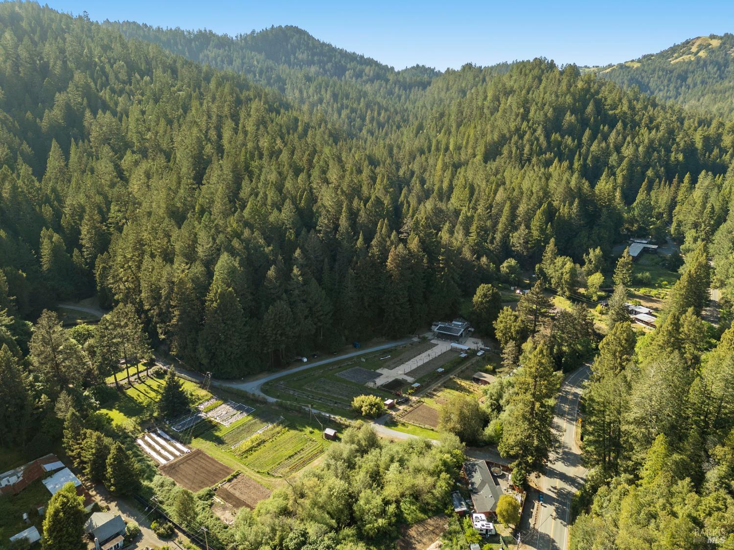 16798 Armstrong Woods Road Guerneville, CA 95446 - Photo 71 of 71 a view of a yard