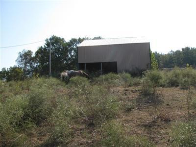 1785 Highview Church Road Bloomfield, KY 40008 - Photo 10 of 28 Metal barn is only 10 years old and is l
