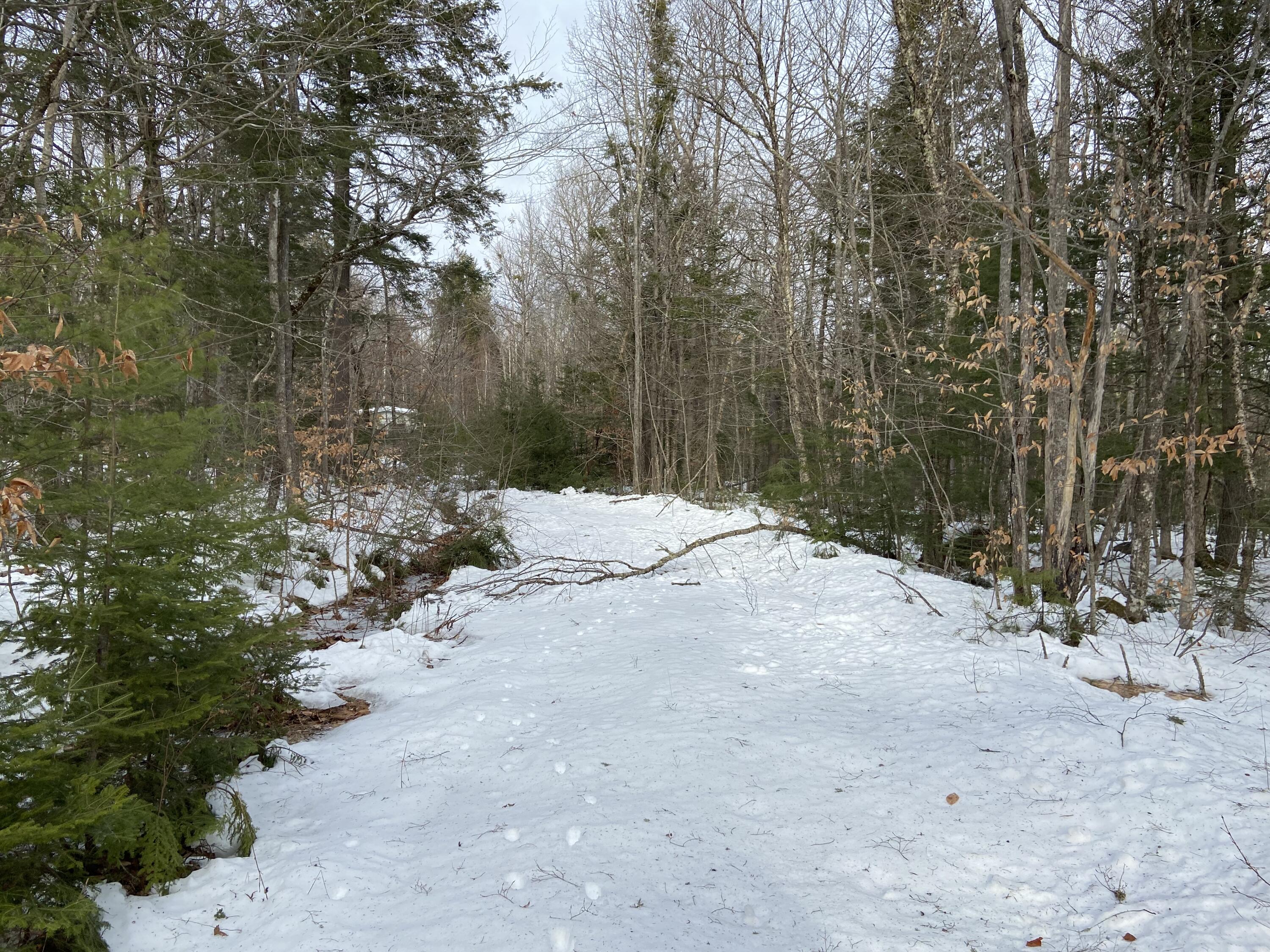 63 Besse Road Vienna, ME 04360 - Photo 32 of 36 E138B927-C089-4C77-884B-DFBDEDCF4017
