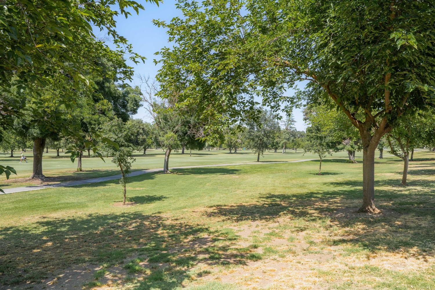 34676 Canvas Back Street Woodland, CA 95695 - Photo 20 of 28 a view of a yard with a tree