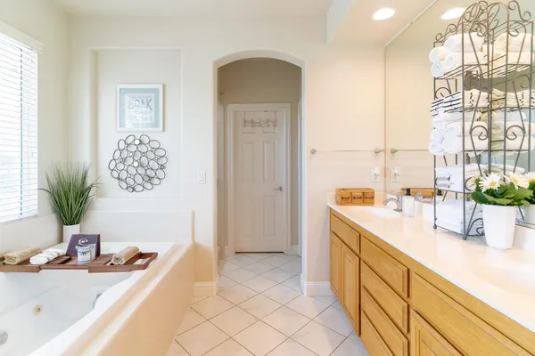 a bathroom with a sink a mirror and a potted plant
