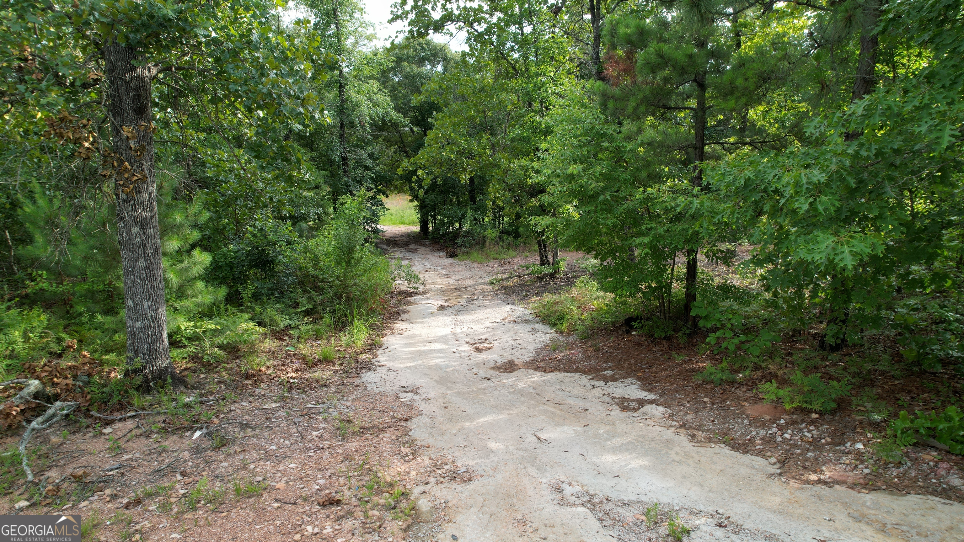 1138 Smyrna Church Road Molena, GA 30258 - Photo 4 of 9 a view of a forest with trees in the background