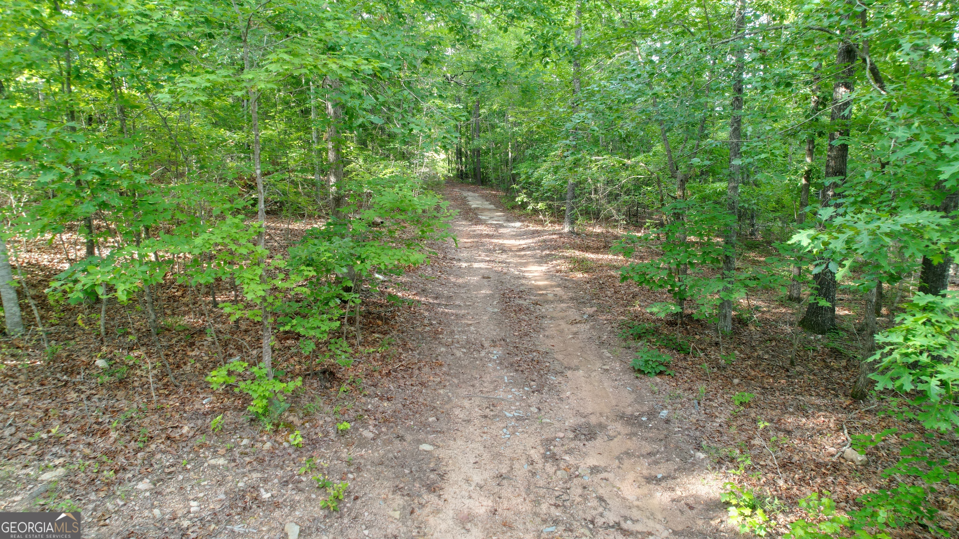 1138 Smyrna Church Road Molena, GA 30258 - Photo 5 of 9 a view of a pathway both side of yard