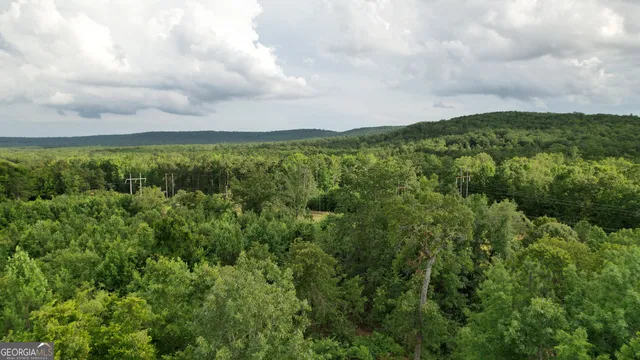 a view of a green field with lots of bushes