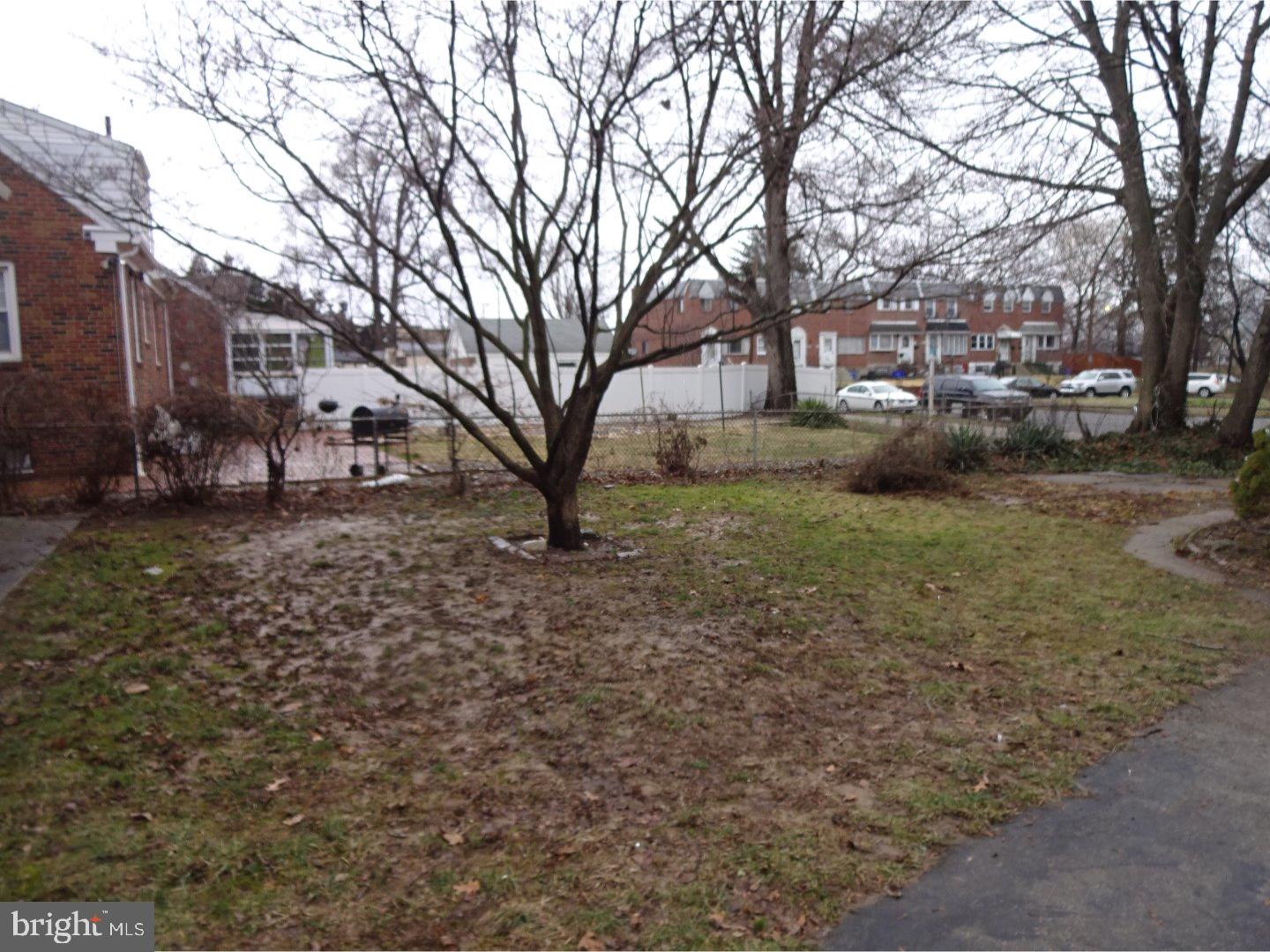 4419 Aberdale Road Philadelphia, PA 19136 - Photo 3 of 16 Back Yard