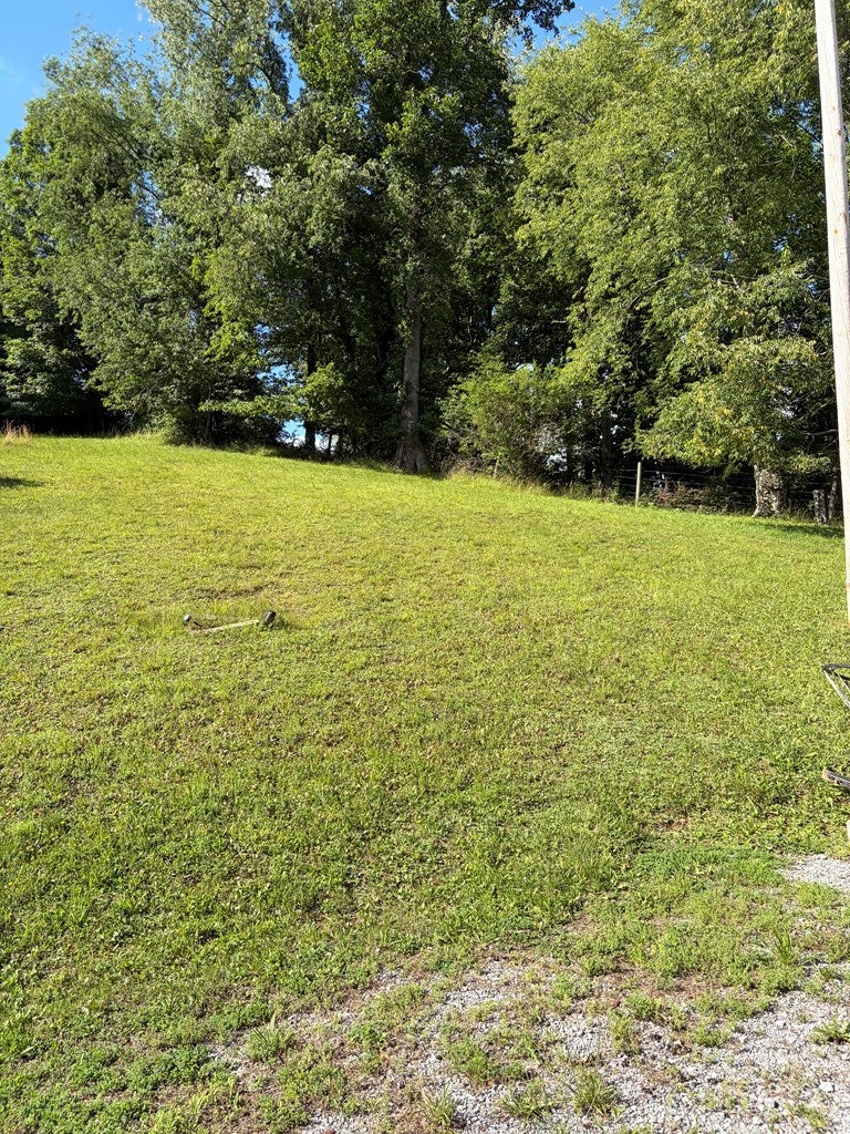 1615 Myrtle Road Tazewell, VA 24651 - Photo 13 of 24 Gallery Image 13