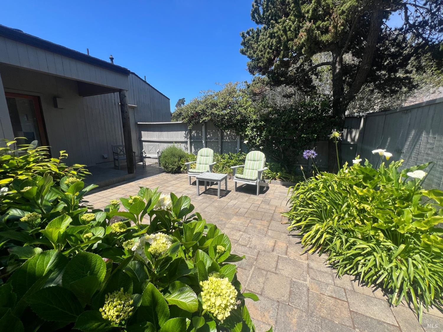 267 Sea Stack The Sea Ranch, CA 95497 - Photo 12 of 35 a backyard of a house with lots of green space