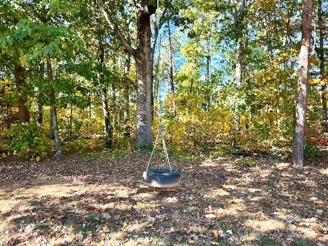 8450 Red Road Rockwell, NC 28138 - Photo 45 of 48 a backyard of a house with lots of green space