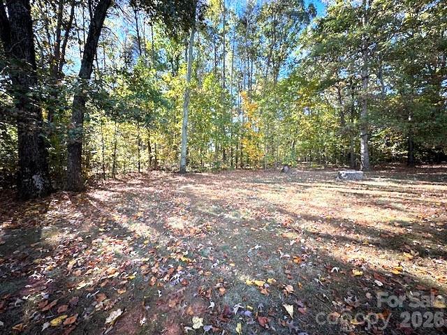8450 Red Road Rockwell, NC 28138 - Photo 47 of 48 a view of outdoor space with trees